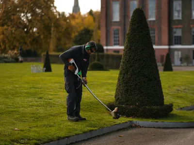 Sustainable Landscaping: Eco-Friendly Garden Design